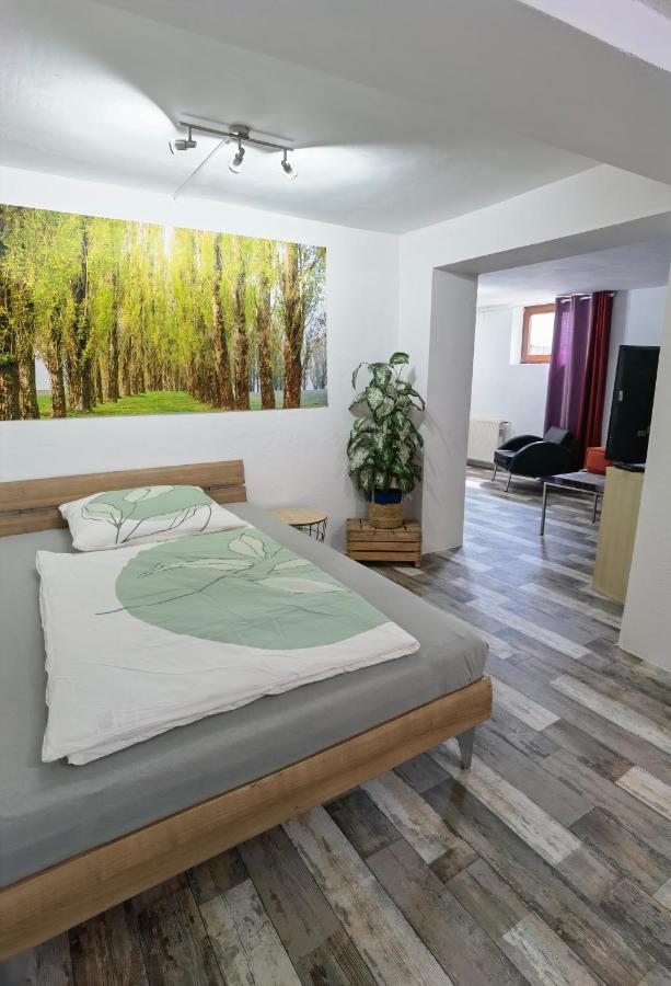 Ferienwohnung - Appartement "Painted Horse" Im Herzen Des Pfaelzer Waldes Reichenbach-Steegen Exteriér fotografie