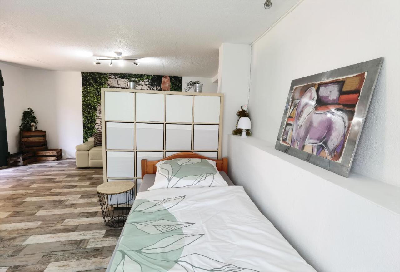 Ferienwohnung - Appartement "Painted Horse" Im Herzen Des Pfaelzer Waldes Reichenbach-Steegen Exteriér fotografie