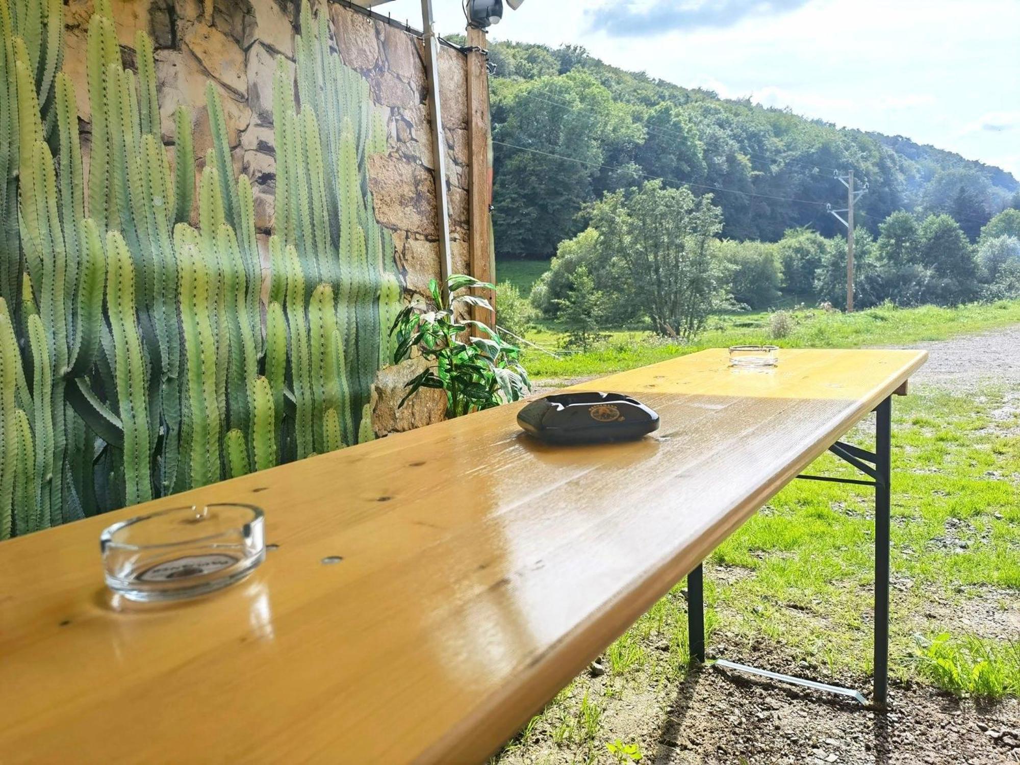 Ferienwohnung - Appartement "Painted Horse" Im Herzen Des Pfaelzer Waldes Reichenbach-Steegen Exteriér fotografie