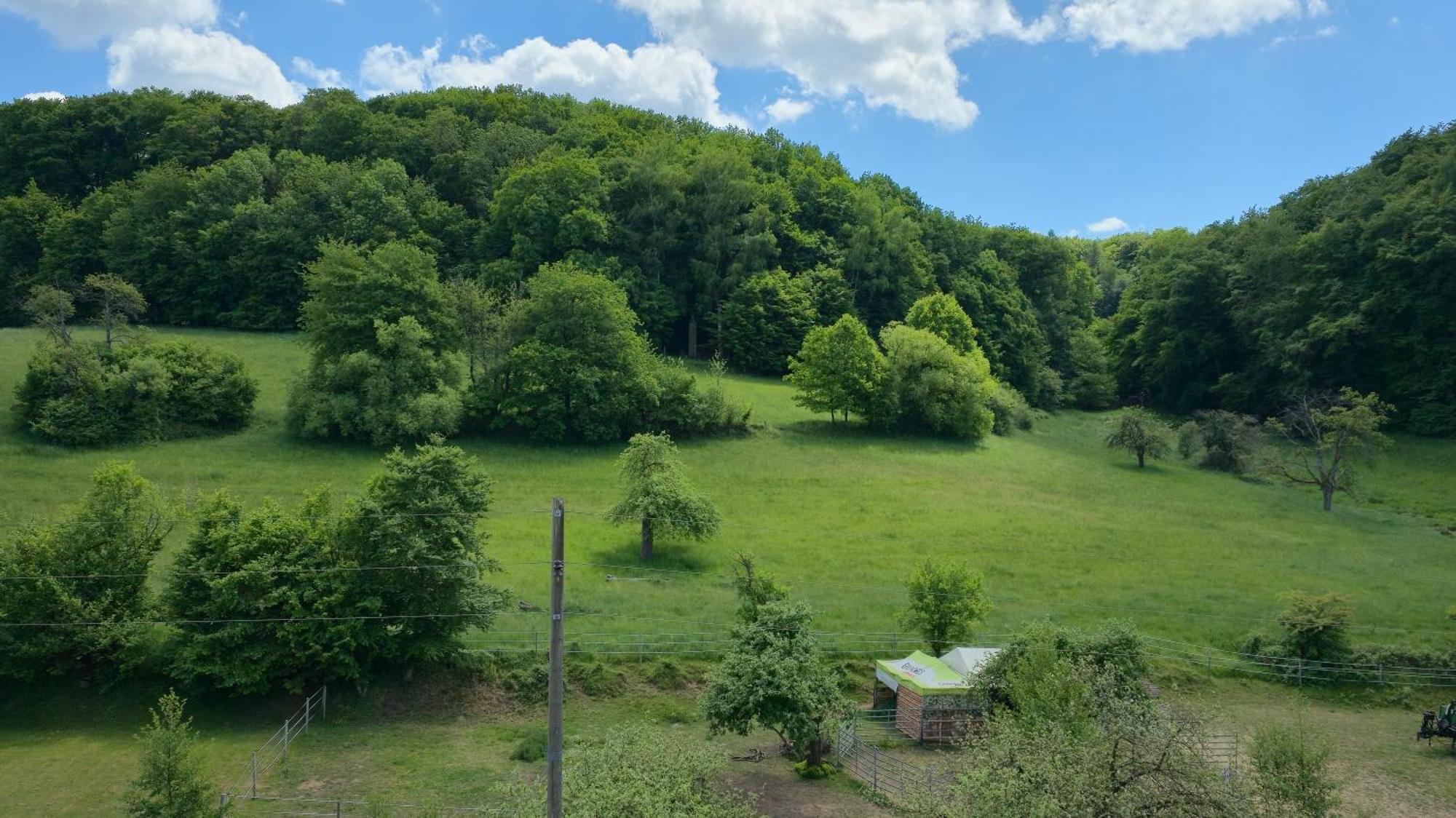 Ferienwohnung - Appartement "Painted Horse" Im Herzen Des Pfaelzer Waldes Reichenbach-Steegen Exteriér fotografie